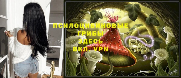 хмурый Арсеньев