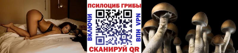 Галлюциногенные грибы мухоморы  Себеж 